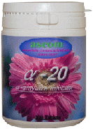 �A���t�@20
